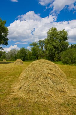 haystacks çayır üzerinde