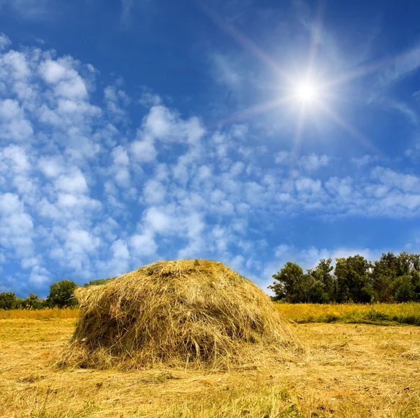 Hystack and sunshine om blue sky — Stock Photo, Image