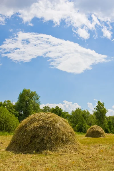 Летний луг с стогами сена — стоковое фото
