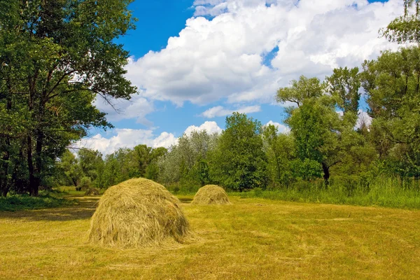Meadow with haystaks — Stock Photo, Image
