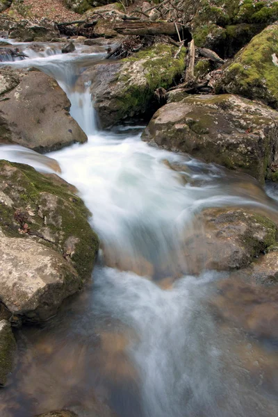 Stream of mountain river — Stock Photo, Image