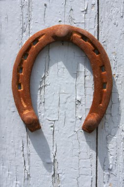 Horsheshoe on the old door clipart