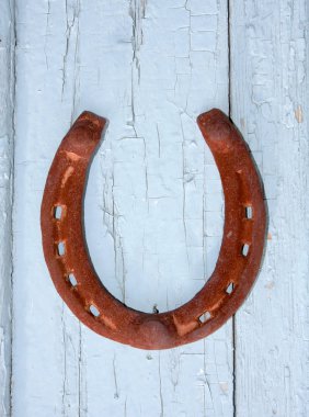 Horseshoe on the old door clipart