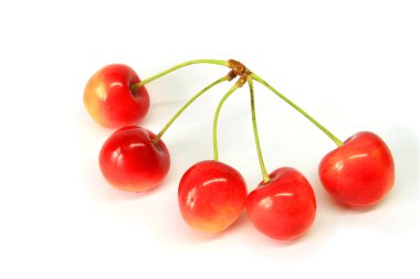 Five cherryes clipart