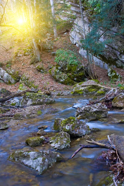 Pedras na água do rio da montanha — Fotografia de Stock