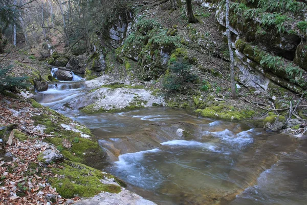 Paisaje con río de montaña —  Fotos de Stock