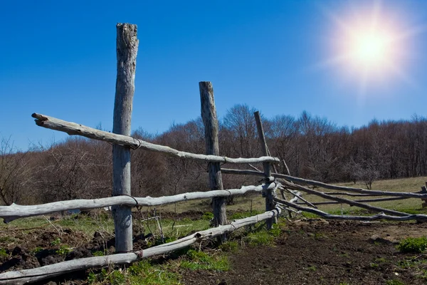 Old fence in forest — Stock Photo, Image