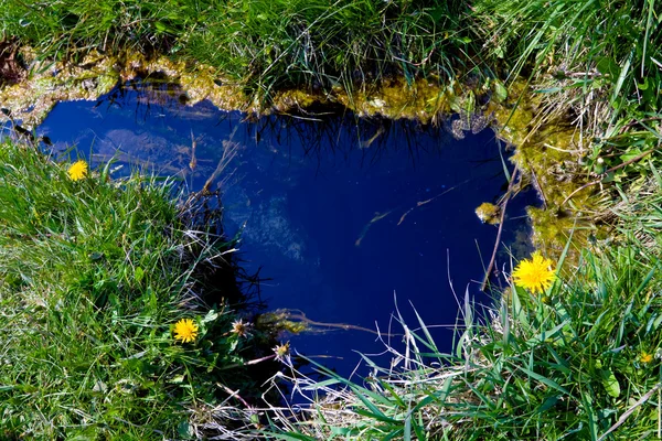 Spring met blauw water — Stockfoto