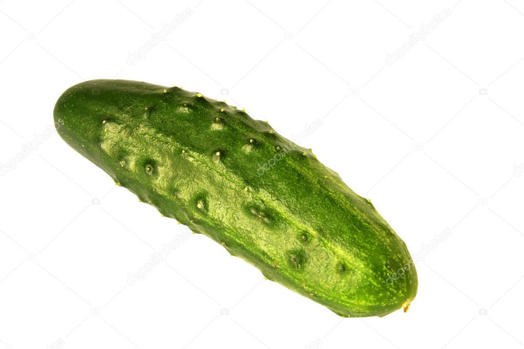 Cucumber - isolated on white