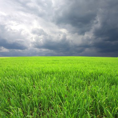 greeen alan ve ağır bulutlar