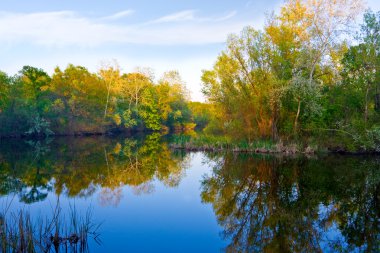 Autumn on river clipart