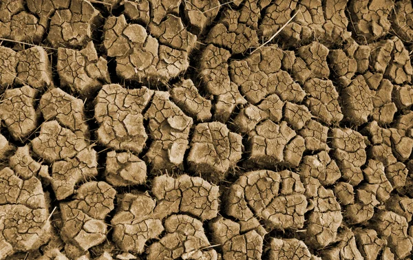 Трещины на сухой почве — стоковое фото