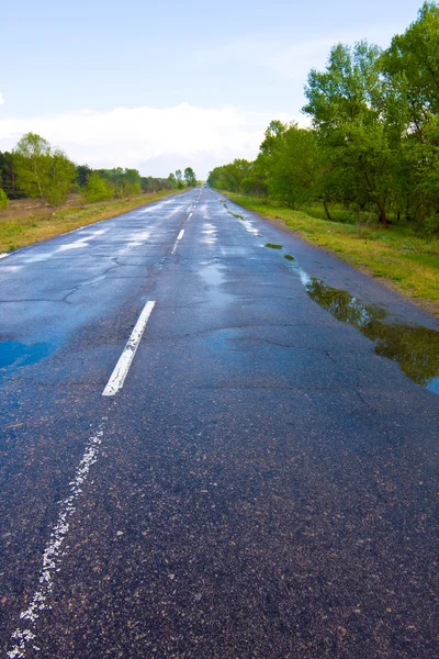 Estrada após a chuva — Fotografia de Stock