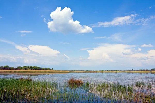 Хорошие облака над речным потоком — стоковое фото