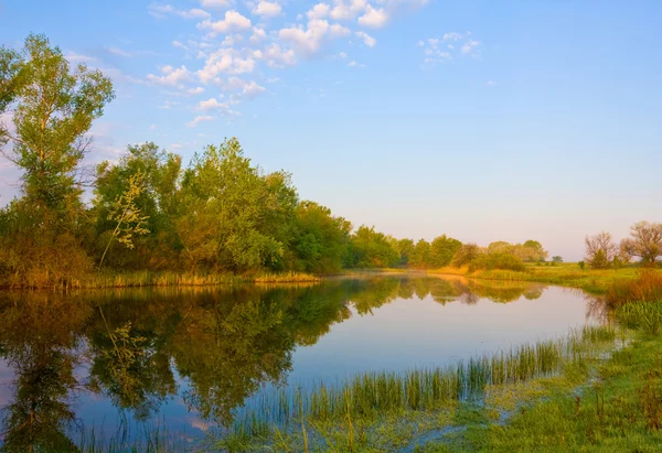 Summer morning on river — Stock Photo, Image