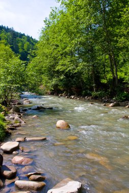 Dağ nehri