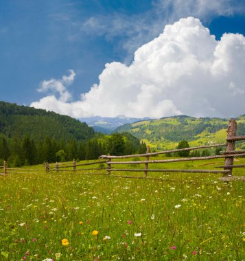 Meadow in mountains clipart