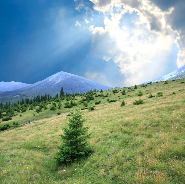 Berglandschaft — Stockfoto