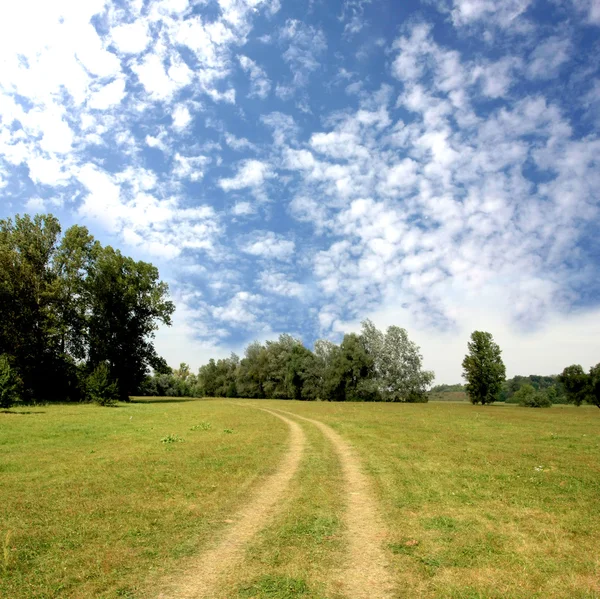 Rural road in the meadow — Stock Photo, Image