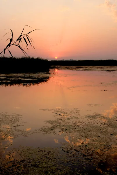 Joli coucher de soleil sur la rivière — Photo