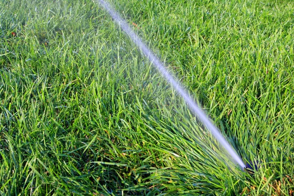Water flush and green grass — Stock Photo, Image