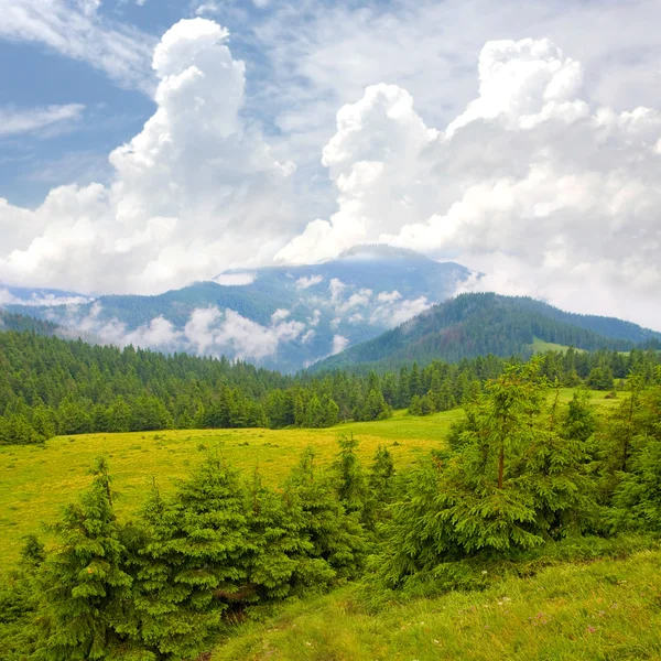 Karpaty góry krajobraz — Zdjęcie stockowe