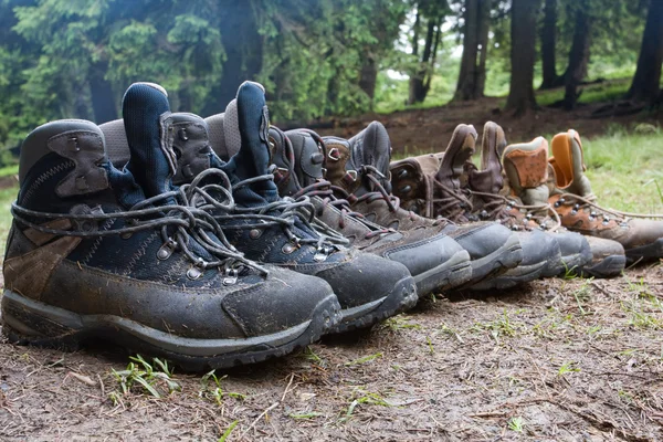 Туристичні черевики в лісі — стокове фото