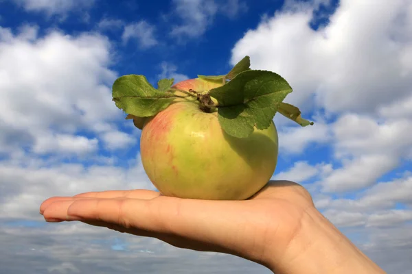 Jabłko na dłoni — Zdjęcie stockowe