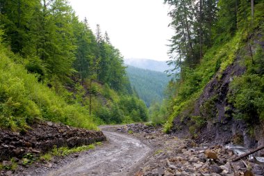 Road dağ Vadisi