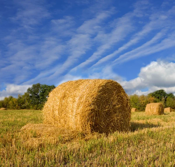 Haystacks on the filed in autumn day — Stock Photo, Image