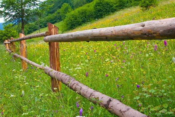 Drewniany płot w pobliżu zielony łąka — Zdjęcie stockowe