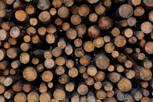Drewno kominkowe tekstura — Zdjęcie stockowe