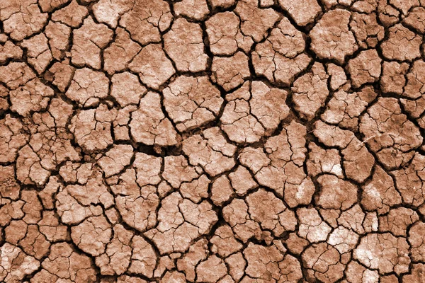 에 갈라진된 말린된 지구 — 스톡 사진