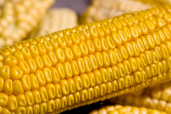 Primer plano de maíz amarillo —  Fotos de Stock