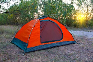 Orman kampında turist çadırı