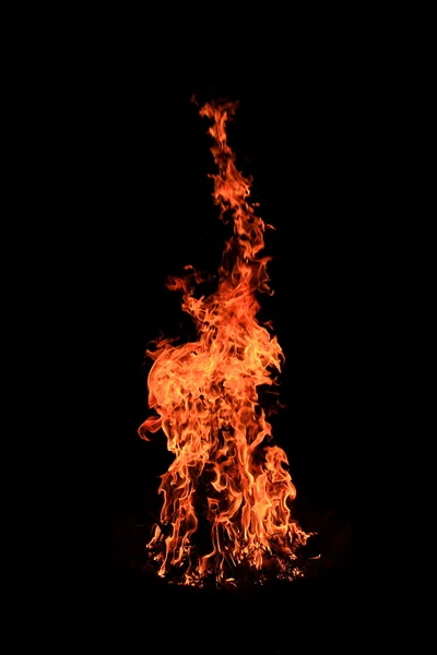 Bright flame of hot campfire — Stock Photo, Image