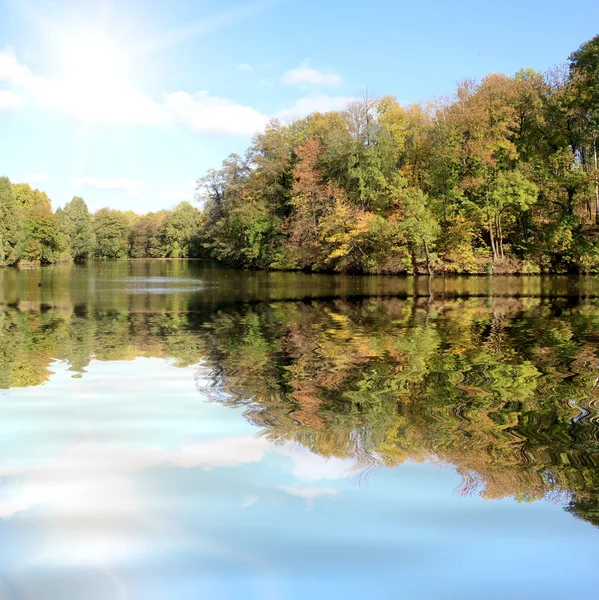 Outono no parque com lago — Fotografia de Stock