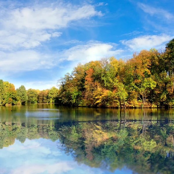 Озеро в осеннем парке — стоковое фото