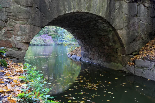 stock image Bridge