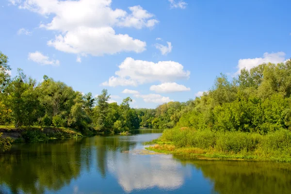 夏の川の風景 — ストック写真