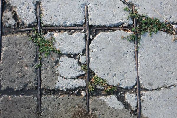 Старая арматура и бетон — стоковое фото