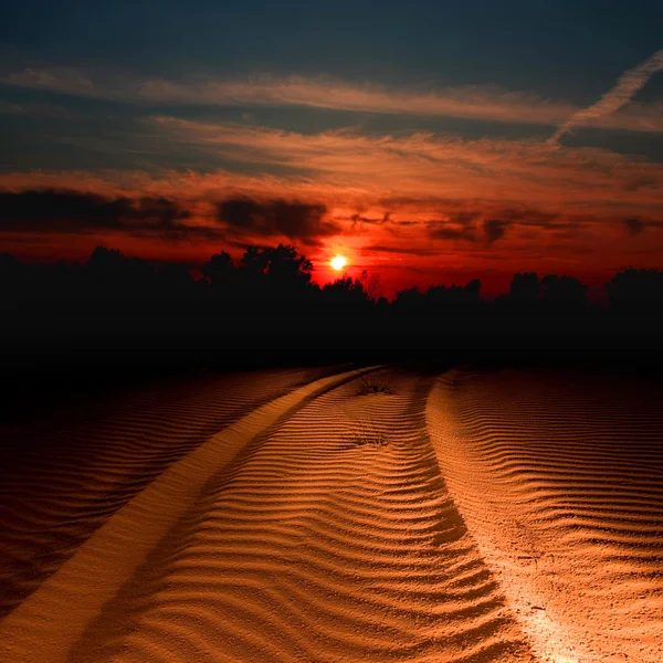 Тропа в песке освещена на закате — стоковое фото