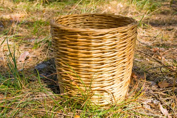 在森林里的草地上编织的篮 — 图库照片