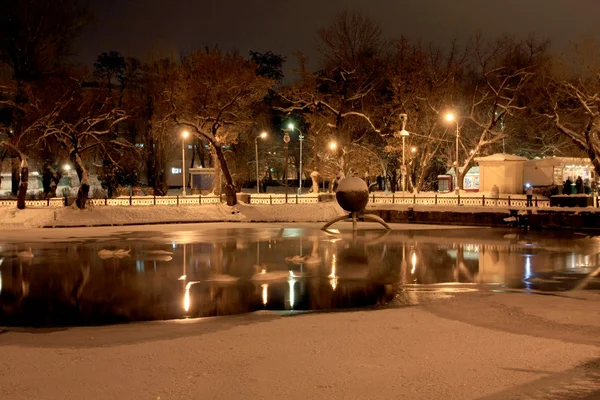 Scena invernale notturna con lago nel parco — Foto Stock