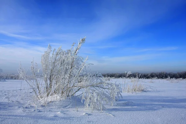Зима в степи — стоковое фото