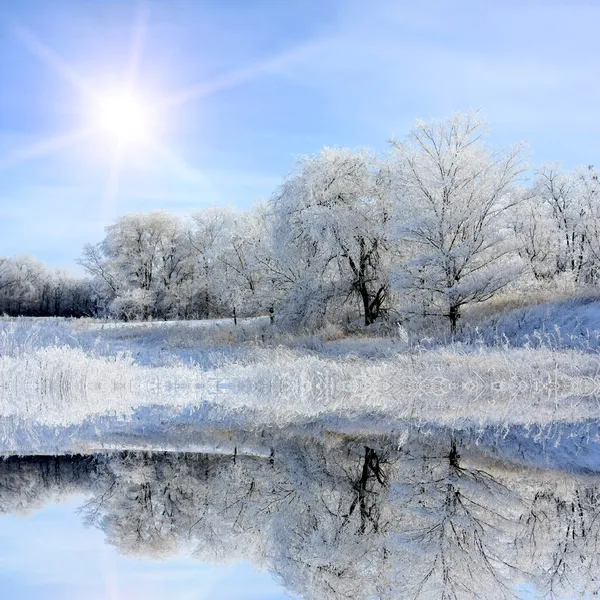 Miły zimowych jezioro scene — Zdjęcie stockowe