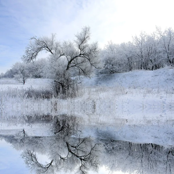 Зимний пейзаж с деревом — стоковое фото