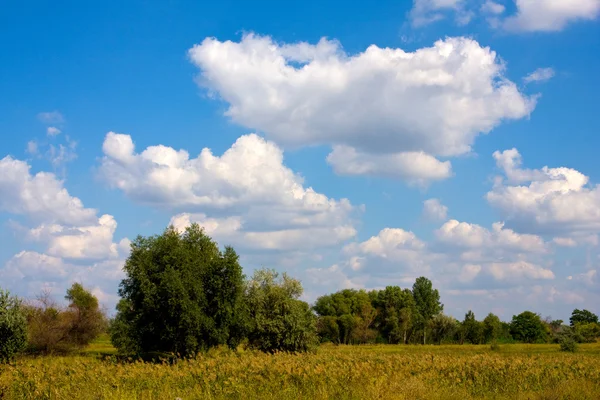 Landschap met mooie wolken over steppe — Stockfoto