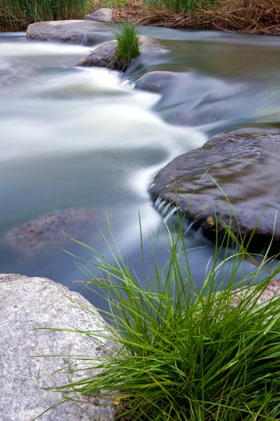 stock image Stream