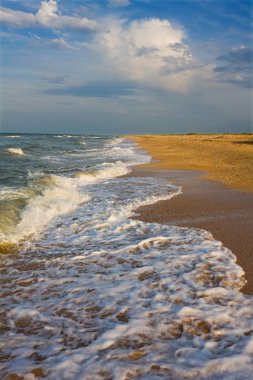 Seashore before thunderstorm clipart